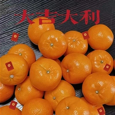 TF Industrial Co. Ferroalloy, állítsa be a vitorlázást, és 2025 -ben ismét ra...